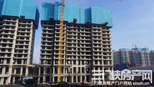 11月26日 义乌建材城&天鹅湖·印象|工程快报