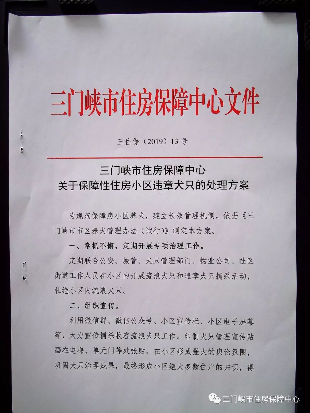 三门峡：关于保障性住房小区违章犬只的处理方案